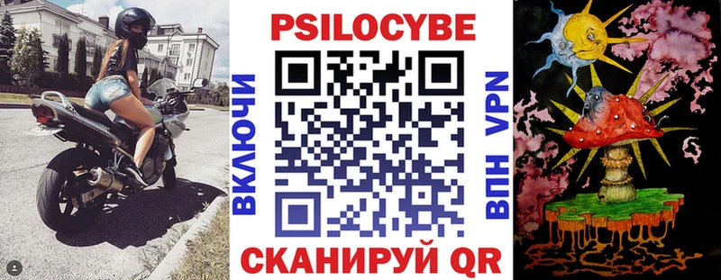 Псилоцибиновые грибы Psilocybine cubensis  Петрозаводск 